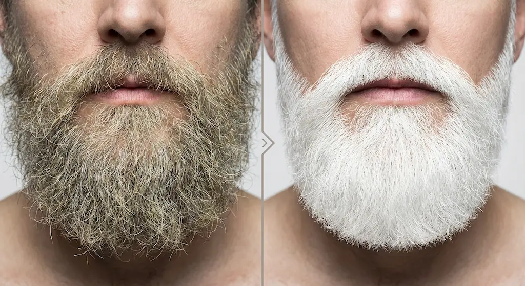 Comparaison barbe grise avant et après shampoing déjaunissant : transformation du beige terne au blanc polaire